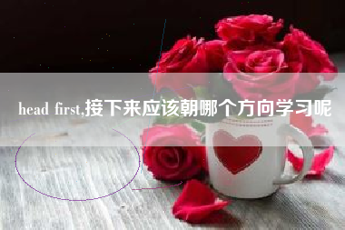 head first,接下来应该朝哪个方向学习呢
