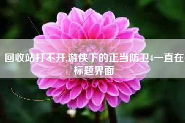 回收站打不开,游侠下的正当防卫4一直在标题界面