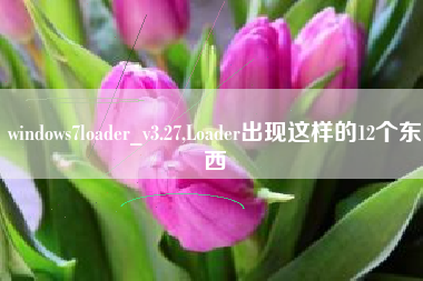 windows7loader_v3.27,Loader出现这样的12个东西