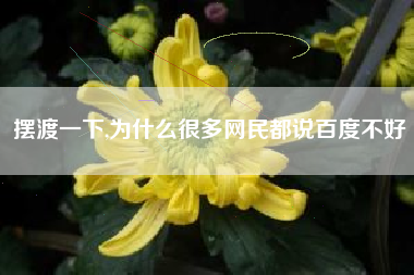 摆渡一下,为什么很多网民都说百度不好