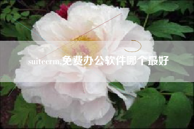 suitecrm,免费办公软件哪个最好