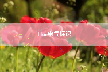 hlsn,电气标识