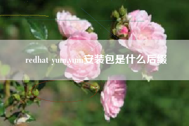 redhat yum,yum安装包是什么后缀