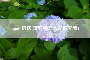 xpath语法(琪亚娜怎么抓取元素)