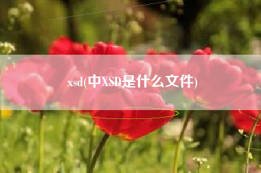 xsd(中XSD是什么文件)