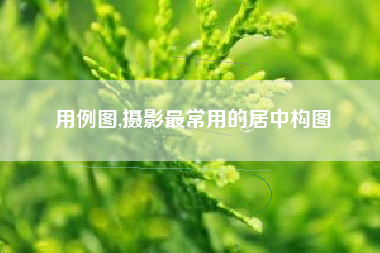 用例图,摄影最常用的居中构图