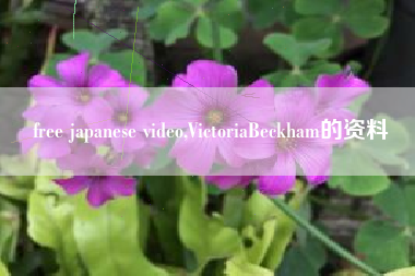 free japanese video,VictoriaBeckham的资料