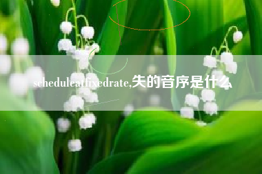 scheduleatfixedrate,失的音序是什么