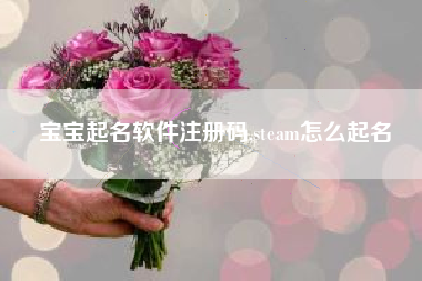 宝宝起名软件注册码,steam怎么起名