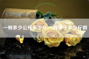 一顿多少公斤多少斤,一吨等于多少斤啊