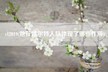 cl2019(他在凯尔特人队体现了哪些作用)