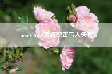 mentohust,系统配置写入失败