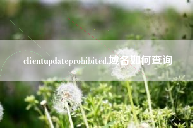 clientupdateprohibited,域名如何查询