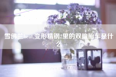 雪佛兰beat,变形精钢2里的双胞胎车是什么