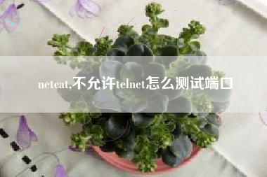 netcat,不允许telnet怎么测试端口