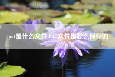 pat是什么文件,PAT文件是怎么保存的