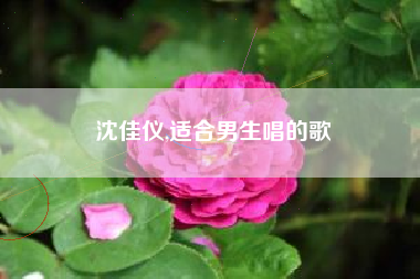 沈佳仪,适合男生唱的歌