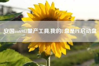 安国au6983量产工具,我的U盘是PE启动盘