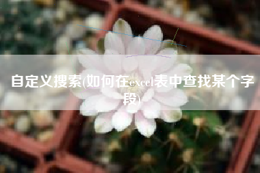 自定义搜索(如何在excel表中查找某个字段)