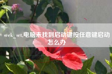 seek_set,电脑未找到启动键按任意键启动怎么办