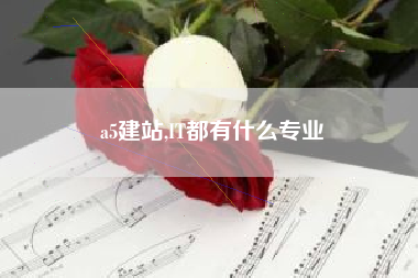 a5建站,IT都有什么专业