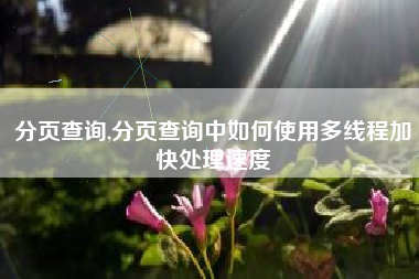 分页查询,分页查询中如何使用多线程加快处理速度
