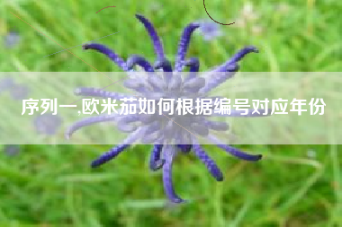 序列一,欧米茄如何根据编号对应年份