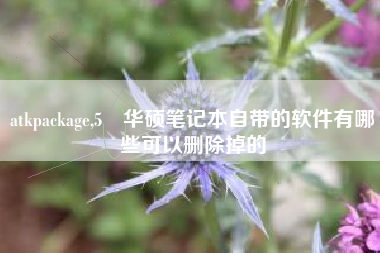 atkpackage,5 华硕笔记本自带的软件有哪些可以删除掉的