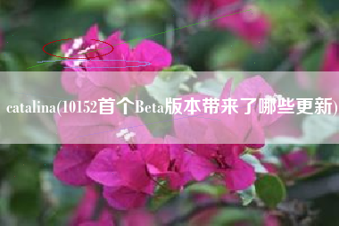 catalina(10152首个Beta版本带来了哪些更新)