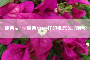 惠普m1139,惠普M1139打印机怎么加碳粉