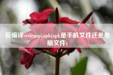 反编译systemui.apk(apk是手机文件还是电脑文件)