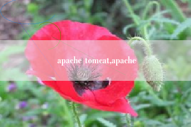 apache tomcat,apache