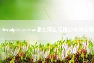 threadpoolexecutor,怎么停止线程池中的线程