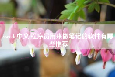 vscode中文,程序员用来做笔记的软件有哪些推荐