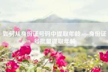 如何从身份证号码中提取年龄,wps身份证号批量提取年龄