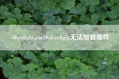 silverlight,win10silverlight无法加载插件