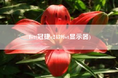 fwt(冠捷e2439fwt显示器)
