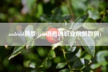 android前景(java语言的职业前景如何)