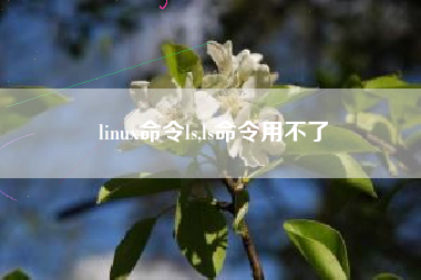 linux命令ls,ls命令用不了