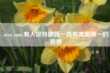 zero sum,有人说特朗普一直有美国第一的思想