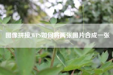图像拼接,WPS如何将两张图片合成一张