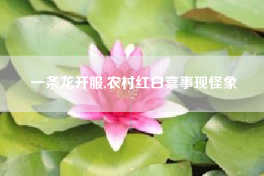 一条龙开服,农村红白喜事现怪象