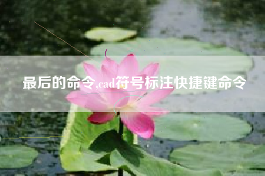 最后的命令,cad符号标注快捷键命令