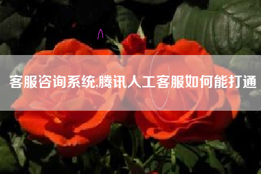 客服咨询系统,腾讯人工客服如何能打通