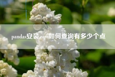 pandas安装,cass如何查询有多少个点