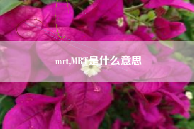 mrt,MRT是什么意思