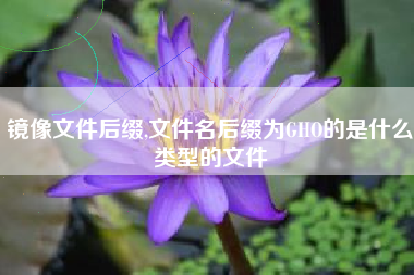 镜像文件后缀,文件名后缀为GHO的是什么类型的文件