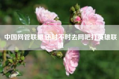 中国网管联盟,还时不时去网吧打英雄联盟