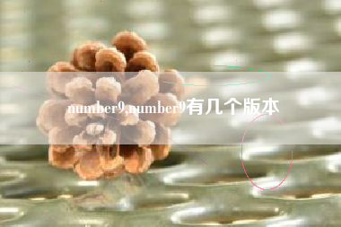 number9,number9有几个版本