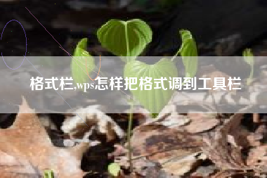 格式栏,wps怎样把格式调到工具栏